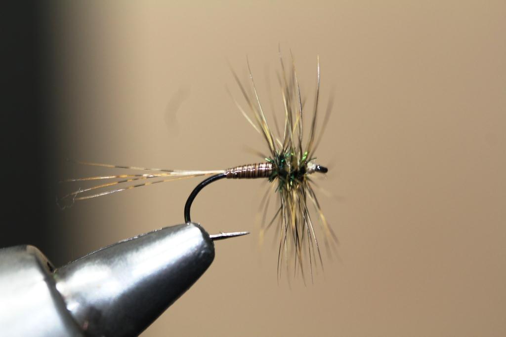 Sage Fly Fishing - Read all of Sage s most recent fly fishing blog posts